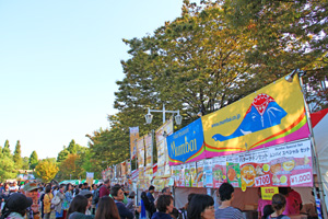 201518ディワリ横浜071